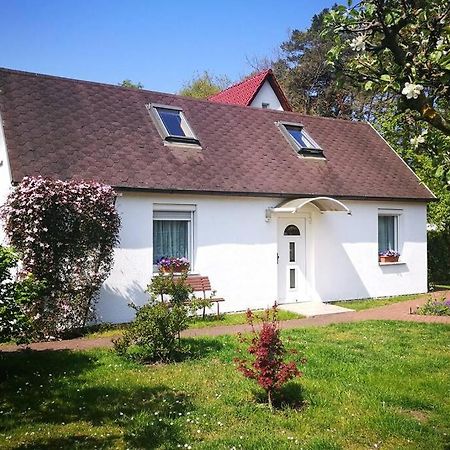 Ferienhaus Im Igelbau Baabe Eksteriør bilde