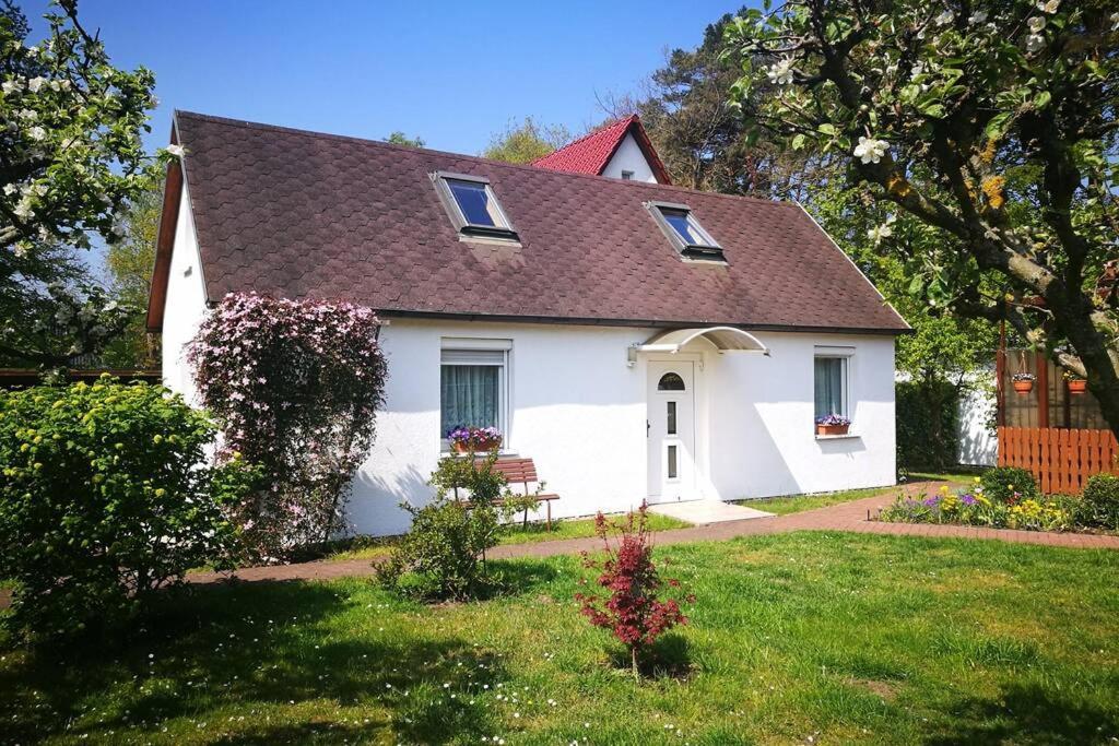 Ferienhaus Im Igelbau Baabe Eksteriør bilde